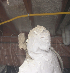  WV crawl space insulation